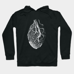 Nature Heart Hoodie